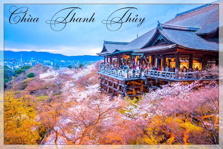 Du lịch Nhật Bản ngắm hoa Anh Đào gía tốt từ Sài Gòn (2015)